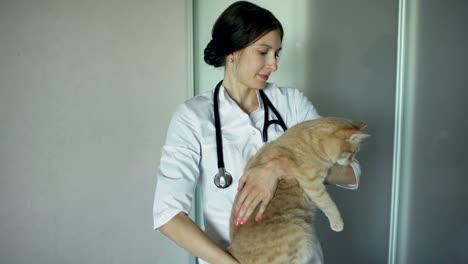 Young-veterinarian-woman-with-stethoscope-holding-cat-in-vet-medical-office