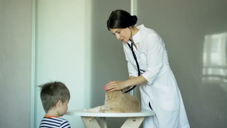 Tierarzt-Frau-Untersuchung-Katze-mit-kleinen-jungen-Besitzer-in-Arztpraxis