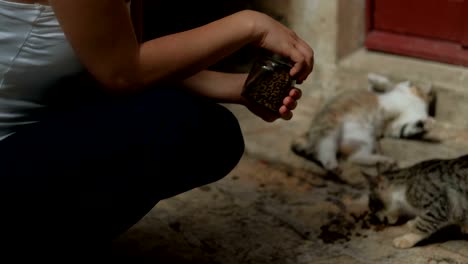 Mujer-en-cuclillas-junto-a-la-entrada-de-alimentación-de-gatos-al-aire-libre