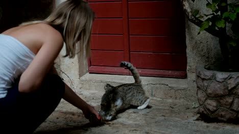 Gato-y-su-gatito-se-ponen-en-la-calle-cerca-de-la-casa-con-la-puerta-roja