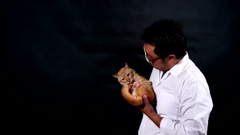 hombre-veterinario-llevar-y-tocar-un-gato-con-cuidado.