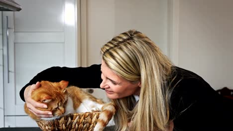 Business-Woman-Playing-with-a-Cat-in-a-Basket-2