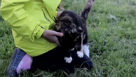 Cat-caresses-with-the-girl