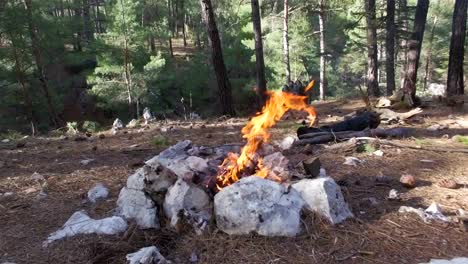 Hombre-preparando-fuego-en-prado-verde-para-camping