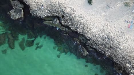 Drone-topdown-aerial,-coastal-lifestyle,-with-dog-dodging-car-to-retrieve-owner
