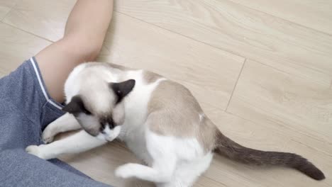 Asian-man-with-elder-cat-lying-on-floor-at-home.