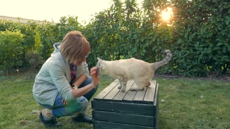 Domestic-cat-playing-with-woman-in-backlight