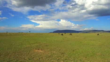 Grupo-de-animales-herbívoros-de-la-sabana-en-África