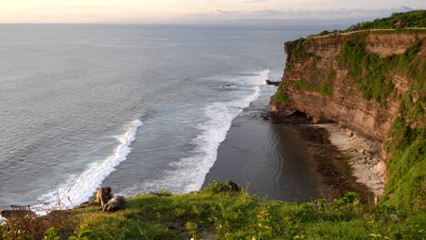 Breite-Schuss-von-Makaken-ruht-auf-einer-Klippe-in-Uluwatu-Tempel-in-Bali