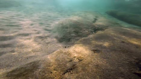 scuba-diving-underwater-4k