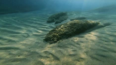 scuba-diving-underwater-4k