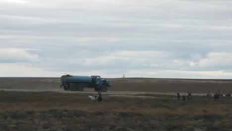 Running-reindeer-and-traveling-truck