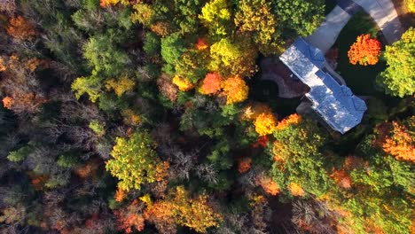 Looking-Down-on-Autumn-Colors,-Trees,-Houses