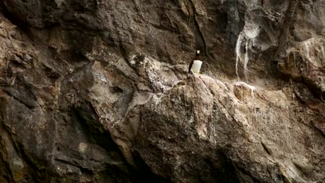 Bird-at-blue-grooto-in-Arraial-do-Cabo,-Rio-de-Janeiro