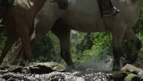 Estampida-de-caballos-corriendo