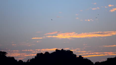 Eagles-fly-over-the-mountains