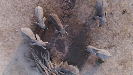 Aerial-zoom-out-view-of-a-small-group-of-elephants-standing-at-a-muddy-waterhole,-Botswana