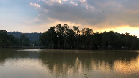 Bandada-de-pájaros-es-volando-sobre-el-lago