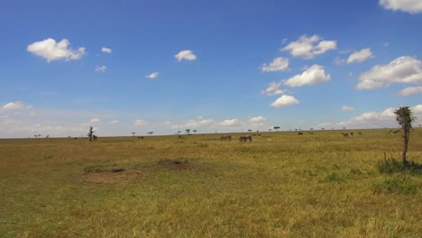 Gruppe-von-Herbivoren-Tieren-in-der-Savanne-in-Afrika