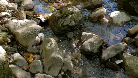 Creek-fließenden-über-die-Felsen