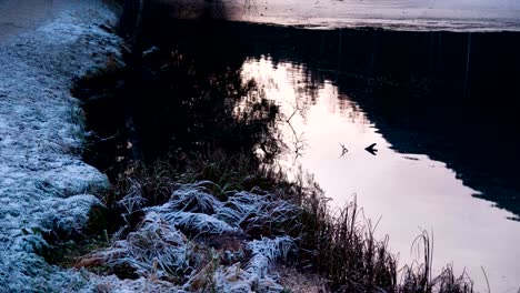 Congelado-en-cámara-lenta-puesta-del-sol,-lago-y-patos