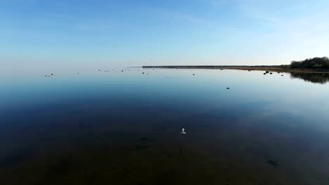 4K.-Magic-flight-with-birds-over-the-sea-at-sunset-above-stones-in-the-water,-aerial.