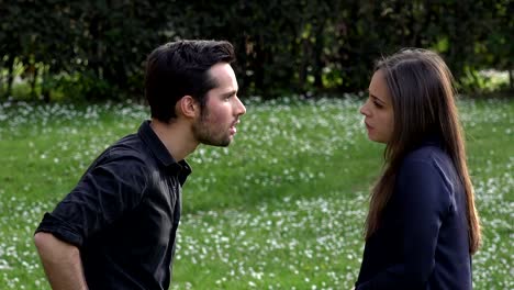 pareja-joven-teniendo-una-discusión-animada-en-un-prado