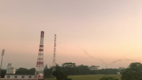 Flock-of-birds-dancing-in-the-sky-at-sunrise