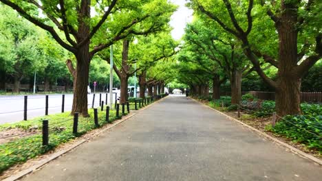 Straße-in-Tokio-Japan