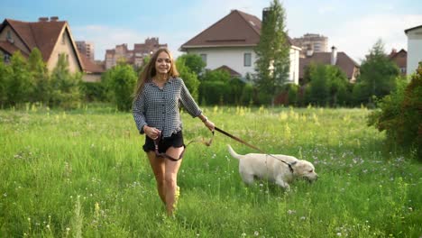 mujer-joven-caucásica-y-su-gran-perro-blanco-están-caminando-en-un-campo-cerca-de-pequeñas-casas-en-día-de-verano