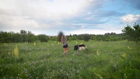 young-woman-is-walking-two-dogs-in-green-blooming-field-in-summer-evening,-dogs-are-playing,-beautiful-cloudy-sky-is-in-background