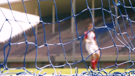 Fútbol-jugador-hacer-un-gol