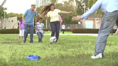 Zeitlupe-Aufnahme-von-Multi-Generationen-Familie-Fußball-spielen