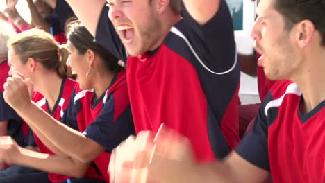 Spectators-In-Team-Colors-Watching-Sports-Event