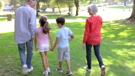 Großeltern-mit-Enkelkindern-zu-Fuß-durch-den-Park