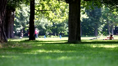 Urlaub-Sommer-Aktivitäten-und-Hund-in-der-park-Szene