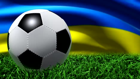 Ball-in-grass-from-Ukraine-(Euro-2012)