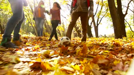 Fußball-auf-Blätter