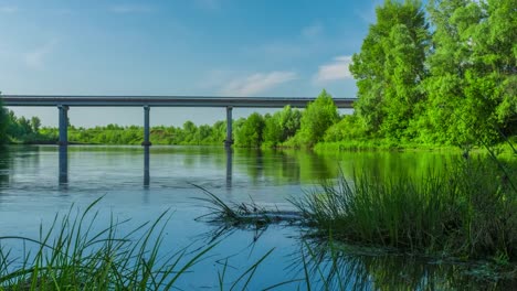 grüne-Bäume-Wald-am-Fluss-Brücke-Autos-motion-timelapse