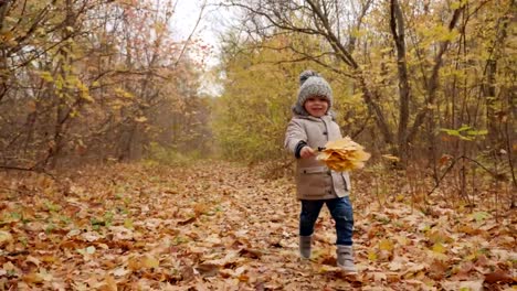 Fröhlicher-kleiner-Junge,-die-energetisch-entlang-der-herbstlichen-Park-lane