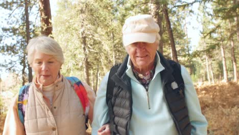 Handheld-front-view-of-senior-couple-walking-in-a-forest