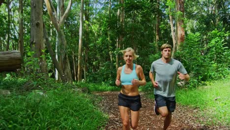 Jogging-in-the-Forest