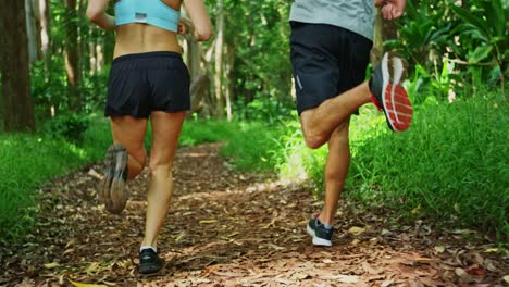 Jogging-in-the-Forest