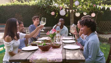 Friends-Making-A-Toast-At-Outdoor-Backyard-Party-Shot-On-R3D