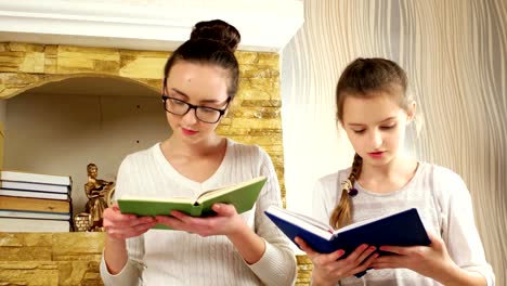 inteligente-y-trabajador-niñas-leyendo-libros-con-interés,-hermanas-sentados-juntos-junto-a-la-chimenea