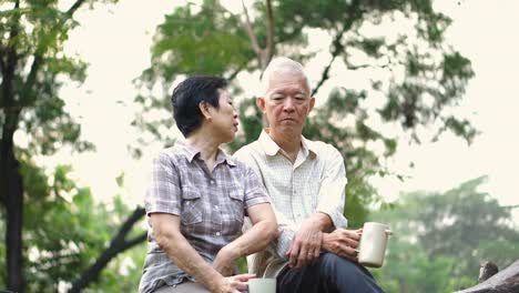 Asian-senior-couple-having-serious-discussion.-Life-planning,-financial-and-family-issue