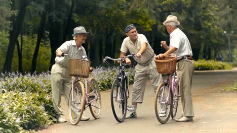 Three-elderly-friends-with-bicycles-are-talking-in-the-park