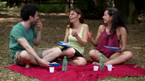 Group-Of-happy-young--Friends-Enjoying-Picnic