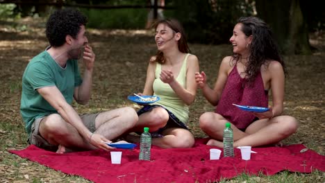 Gruppe-der-glückliche-Junge-Freunde-genießen-Picknick