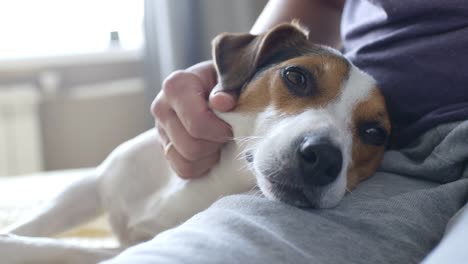 Woman-petting-her-dog